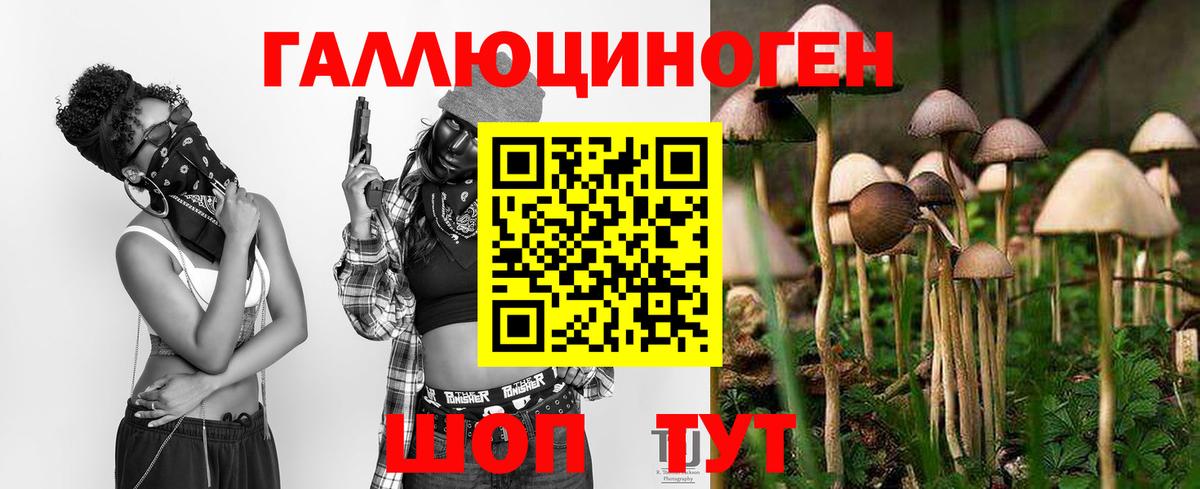 Псилоцибиновые грибы Psilocybe  Вход с VPN  Владикавказ 