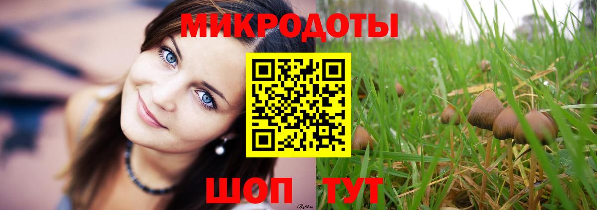 Псилоцибиновые грибы ЛСД Владикавказ
